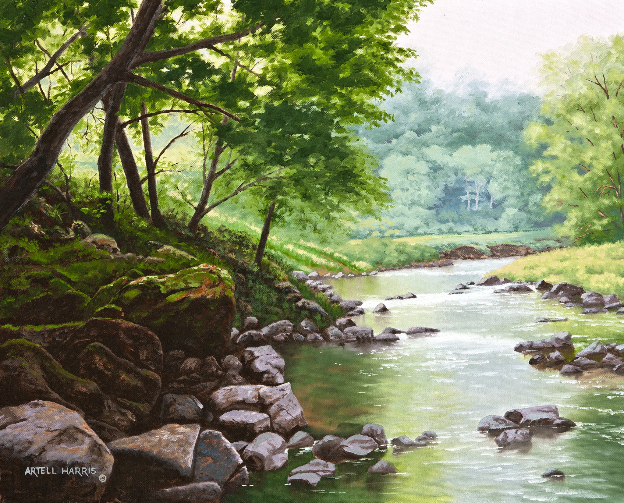 Little Neatsu River #2 by artell harris