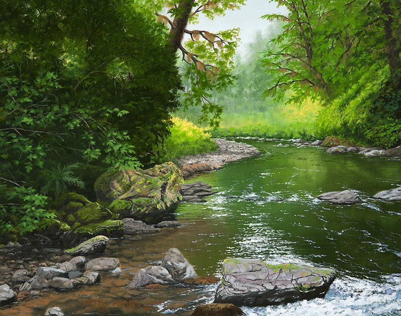 Below Drift Creek Falls by artell harris