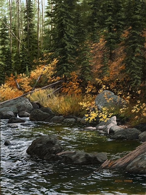 Coffee Pot Rapids by artell harris