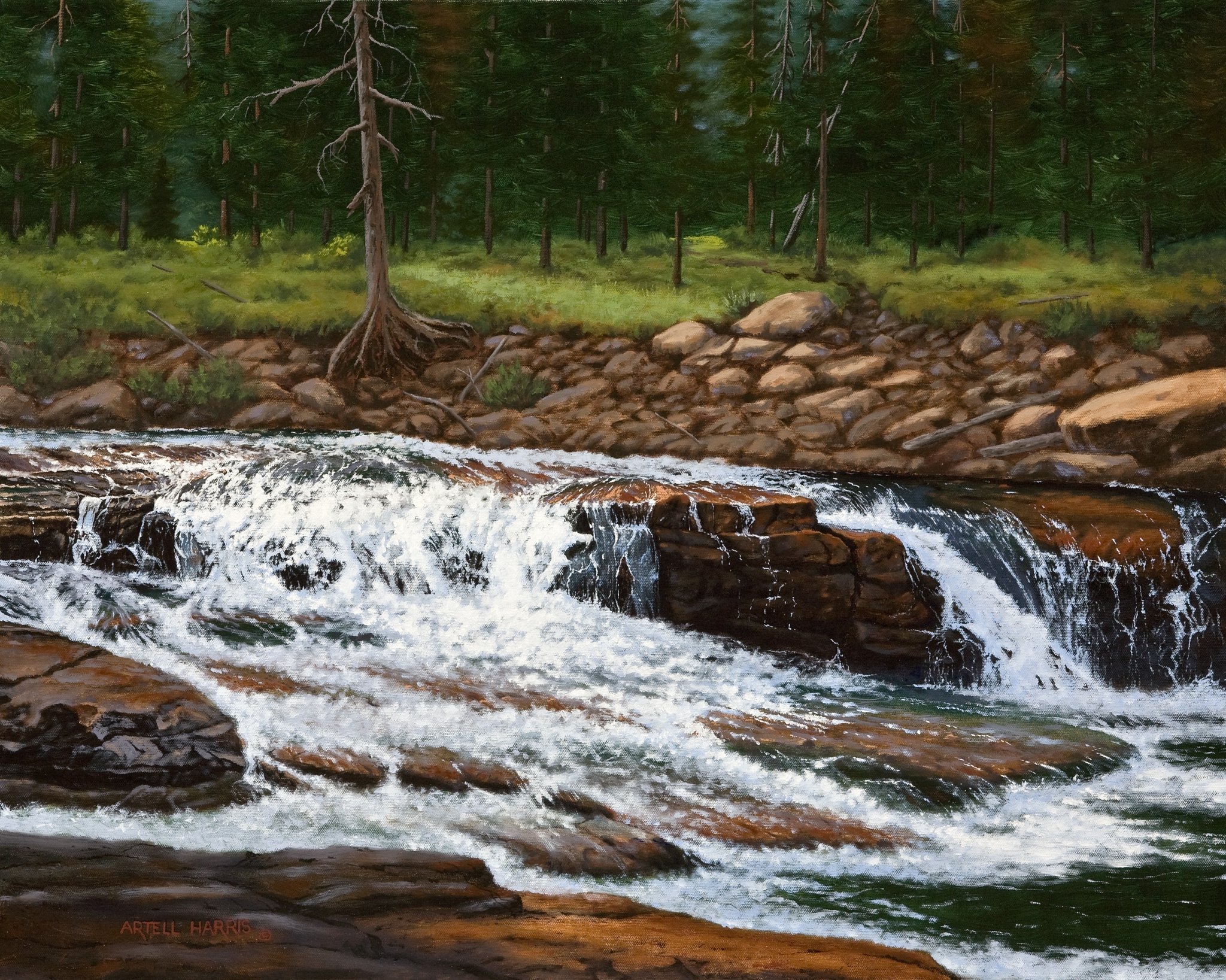 Upper Provo River by artell harris