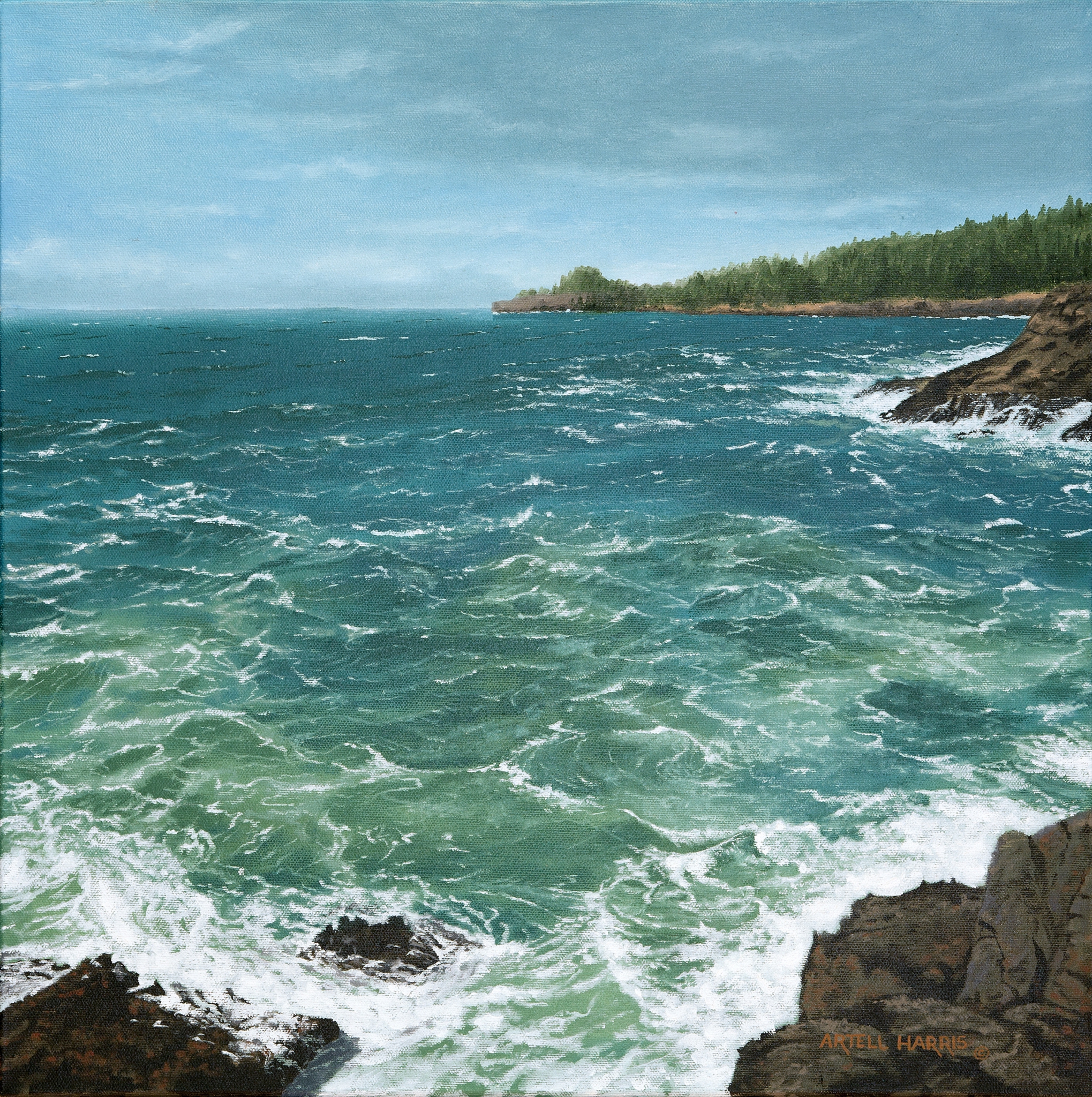 Oregon coast #2 by artell harris