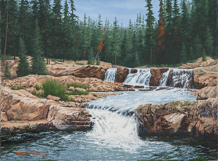 Provo River Falls #6 by artell harris