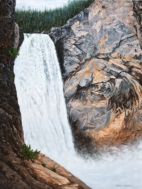 Lower Yellowstone Falls by artell harris