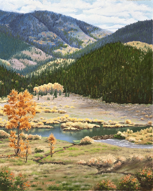 Willow Flats by artell harris