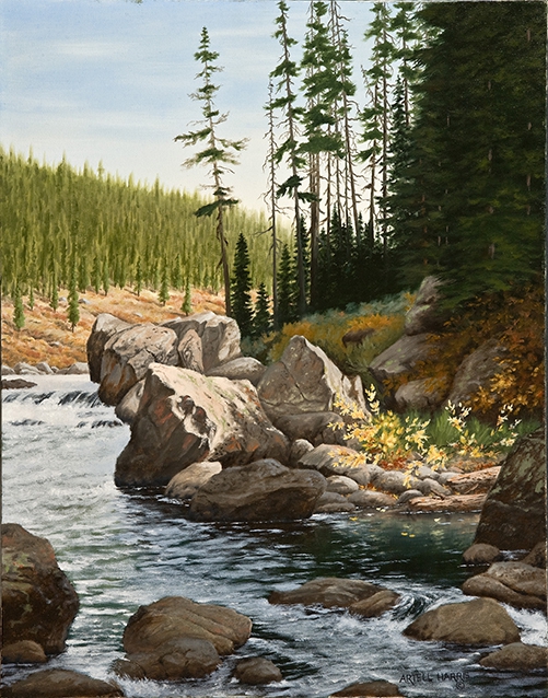 Click here to view Henry's Fork by artell harris