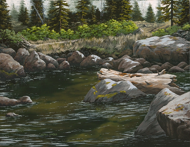 Strawberry River by artell harris
