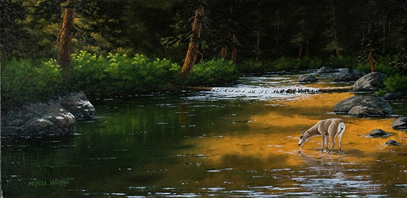 Evening Glow by artell harris