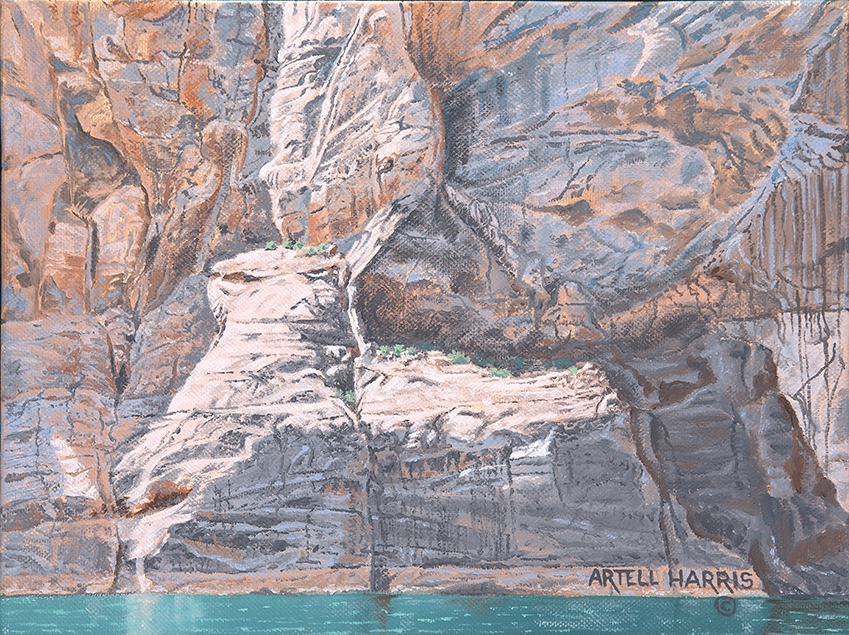 Navajo Canyon #6 by artell harris