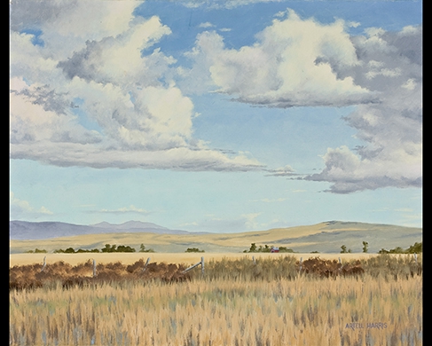 Idaho Clouds by artell harris