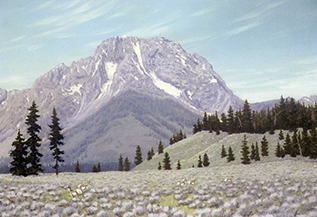 Mt. Moran by artell harris