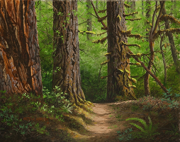Trail to Drift Creek Falls by artell harris
