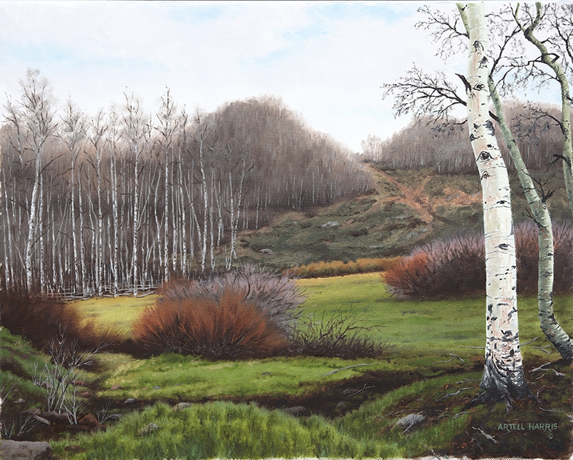 Boulder Pass by artell harris