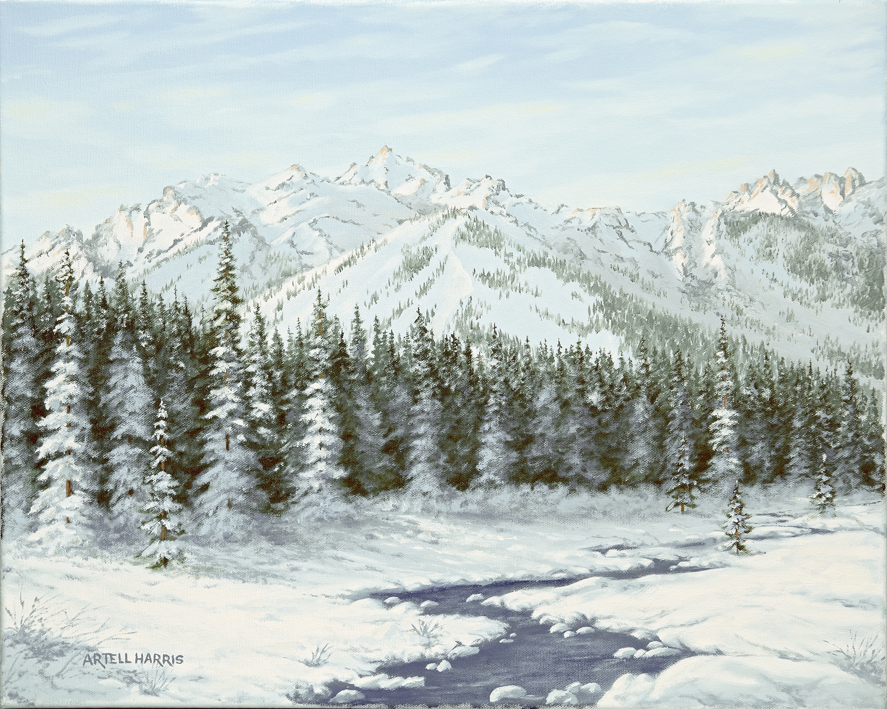 Jackson Hole Valley by artell harris