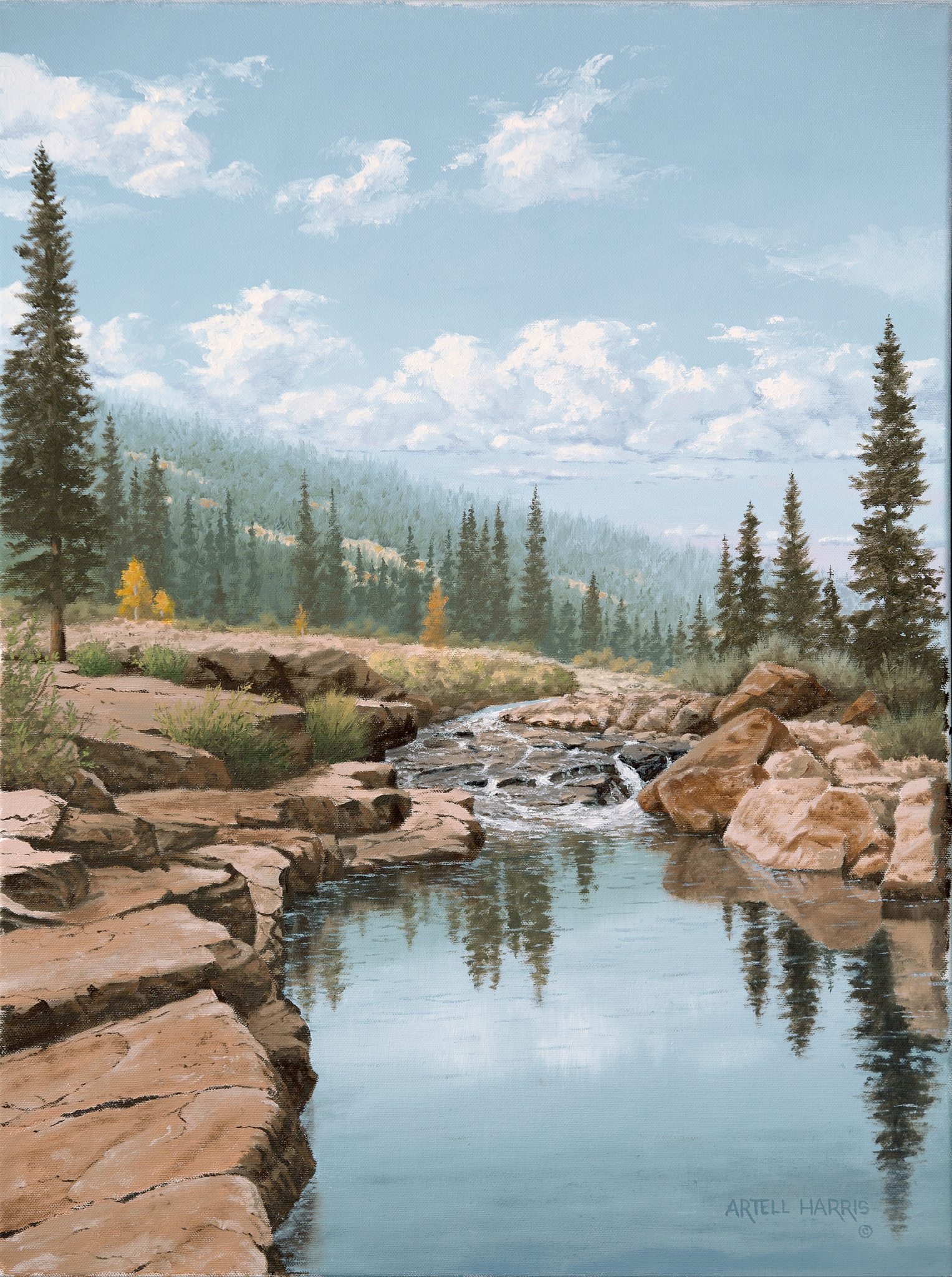 Upper Provo River # 2 by artell harris