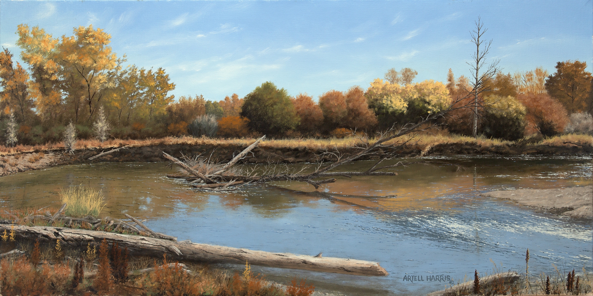 Big Lost River #2 by artell harris